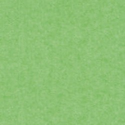 GALERIA PAPIERU karton kol. A1 170g. j. zielony